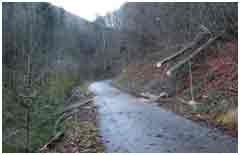 Sturmschaden im Wendbach